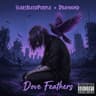 Dove Feathers cover art